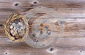 Nest egg filled with coin money for the future