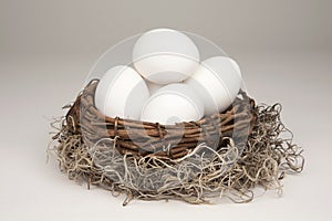 Nest Egg generic