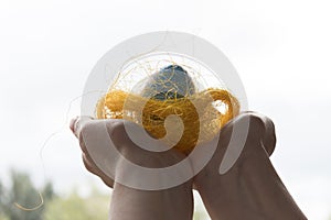 Nest with egg on hands. Decorative blue easter egg in a nest. Blurred background