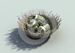 Nest Egg metaphor