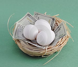 Nest Egg with Money