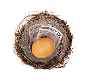 Nest Egg Money