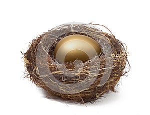 NEST EGG SAVING ESTATE RETIREMENT FUND FINANCIAL WEALTH PLANNING