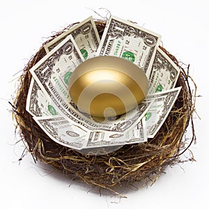 Nido huevos ahorros jubilación fondo financiero poder planificación 