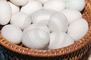 Nest Egg White