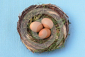Nest within eggs