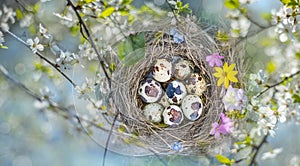 Nest with eggs on a wooden table - easter still life