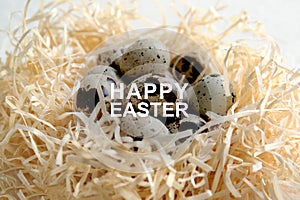 Nest with fresh quail eggs on table, closeup