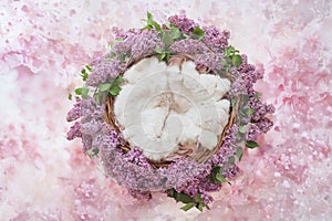 Nest of grapevine and lilac flowers for photographing newborns on a pink floral background