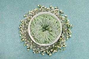 Nest with a green mat for photo shoots of newborns, decorated with sprigs with white berries