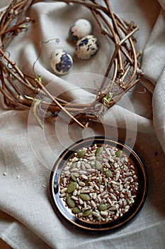 A nest made of twigs, grass, and soil contains a broken bird egg