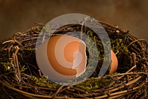 Nest with open egg for digital composites