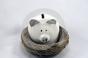 Nest Piggy