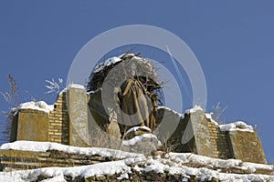 Nest on the ruins of the church