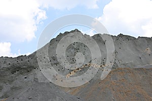 Nest in the sandy cliff