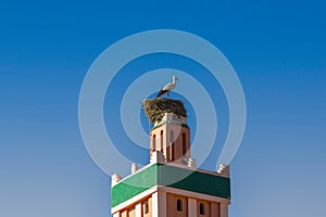 Nest of a storks on a minaret in Ouarzazate, Morocco.