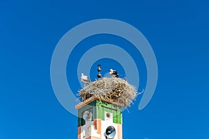 Nest of a storks on a minaret in Ouarzazate, Morocco.