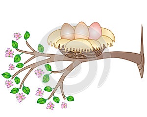 Nest with three eggs on a flowering tree - vector spring full color picture. A bird`s cozy cute nest on a branch with pink flower