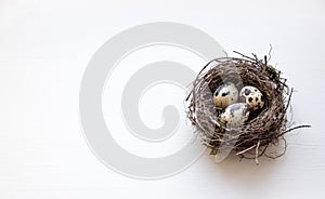A nest with three quail eggs on a business table photo