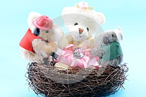 Nest with a toy Teddy Bear and two Koala