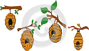 Nest or vespiary of wild bees isolated on white background. Vector cartoon close-up illustration. - Images vectorielles