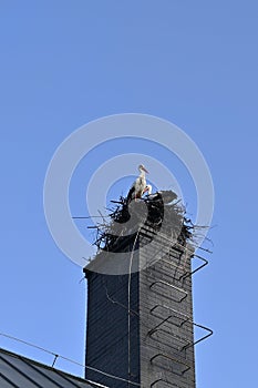 nest with white storks on the chimney