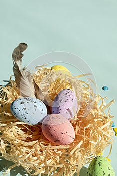 In the nested are Easter eggs and a bird feather. On a blue background is a nest with eggs for Easter. Quail eggs are