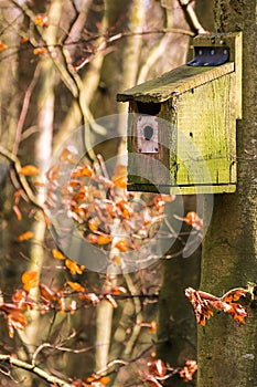 Nesting box