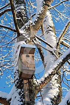 Nesting box