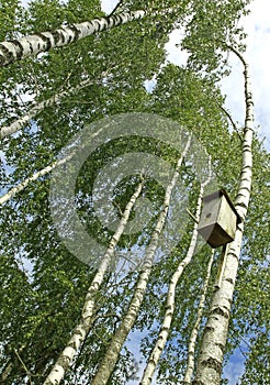 Nesting box photo