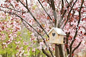 Nesting box