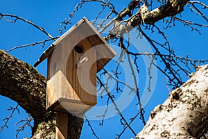 Nesting box in the tree on a sunny day. Wooden bird house hanging on the tree branch outdoors