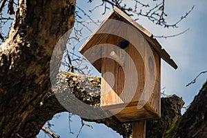 Nesting box in the tree on a sunny day. Wooden bird house hanging on the tree branch outdoors