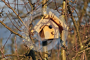 Nesting boxes at an apple tree in the sunlight