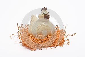 Nesting chicken