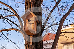 Nesting wooden box. Bird house hanging from the tree with the entrance hole in the shape of a circle