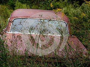 Abandoned rusted Dodge from the 60`s photo