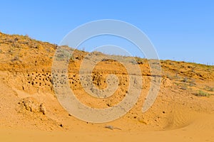 Nests of swallows. Numerous openings of nests of swallows in a sandy slope