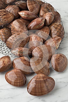 Net bag with fresh raw smooth clams