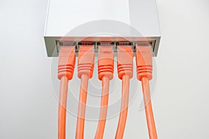 Net cables and network switch