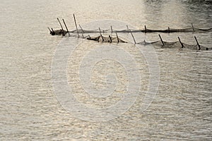 Net fishing on clam black and white sea water nature background