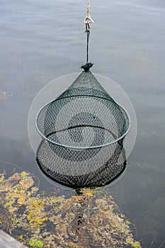 Net for holding fish hanging in the sea..
