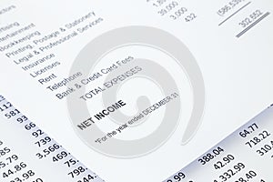 Net income statement reports