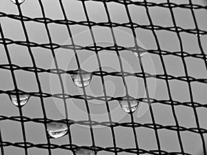 Net pattern with dew drop
