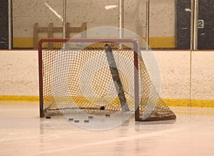 Net with pucks