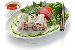 Net spring rolls