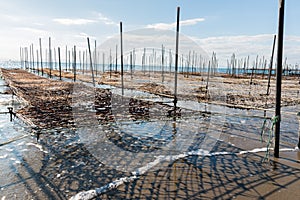 Net and wooden pole for entrap algae.