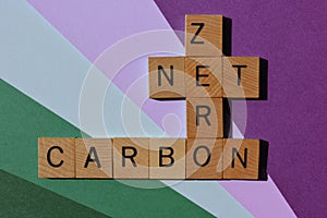 Net Zero Carbon crossword on purple and green