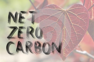 Net Zero Carbon, hand written words on red leaf background