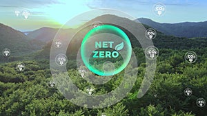 Net zero environment sustainable concept with decreasing carbon CO2
